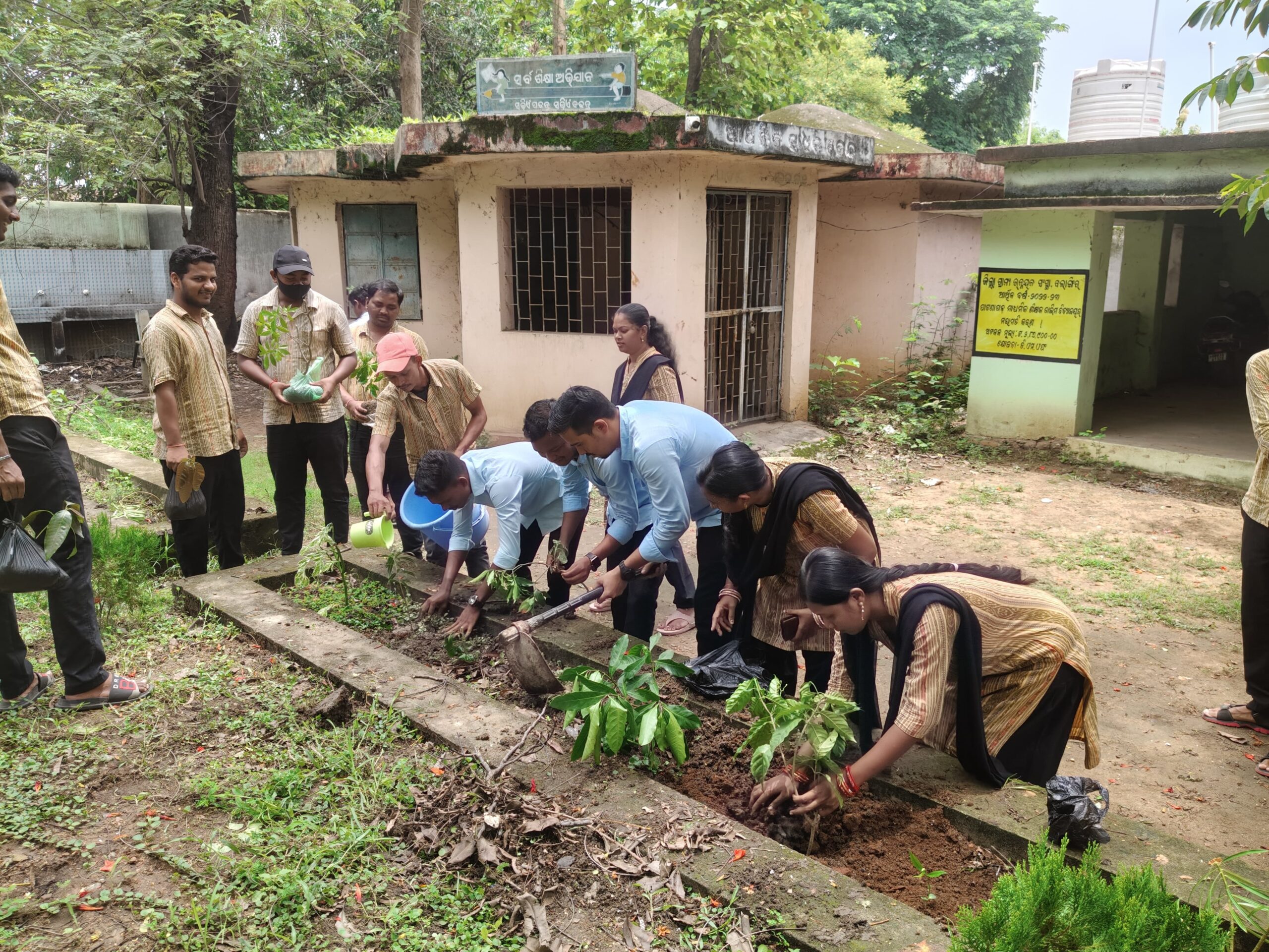Plantation Activity
